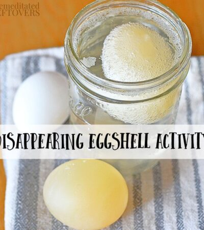 Disappearing Egg Activity for Kids- This egg experiment is a great letter "E" activity for preschoolers and fun science activity for older kids!