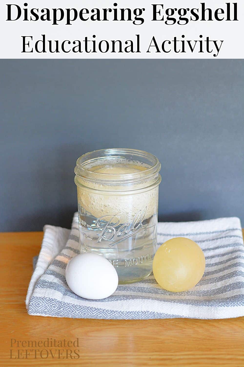 Disappearing Egg Activity for Kids- This egg experiment is a great letter "E" activity for preschoolers and fun science activity for older kids!
