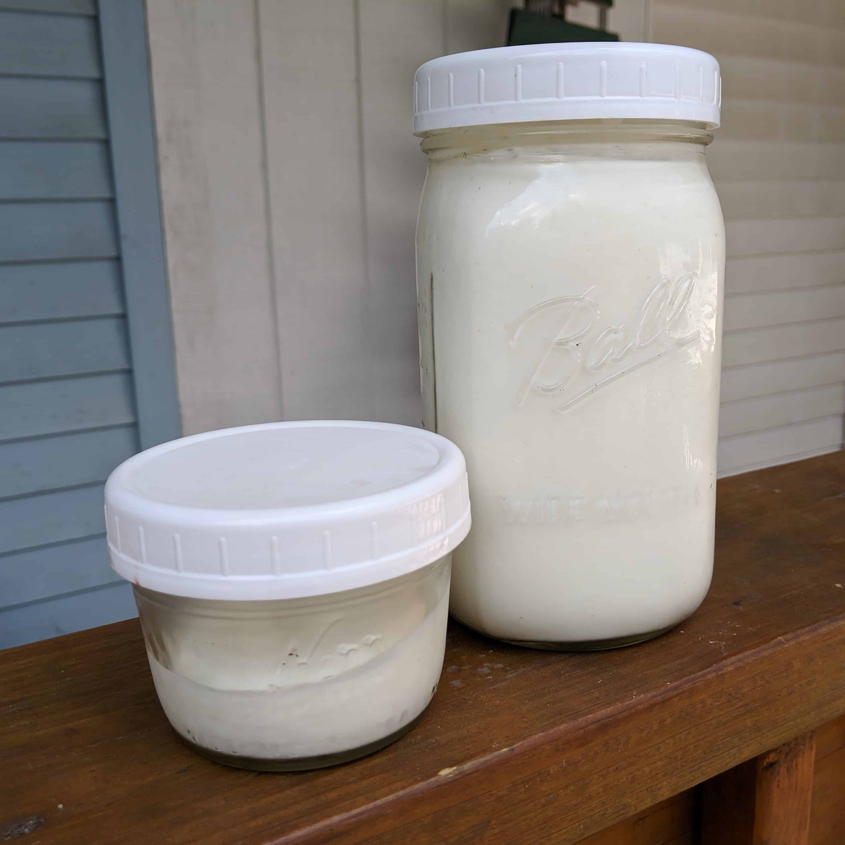 Homemade Instant Pot yogurt in mason jars.