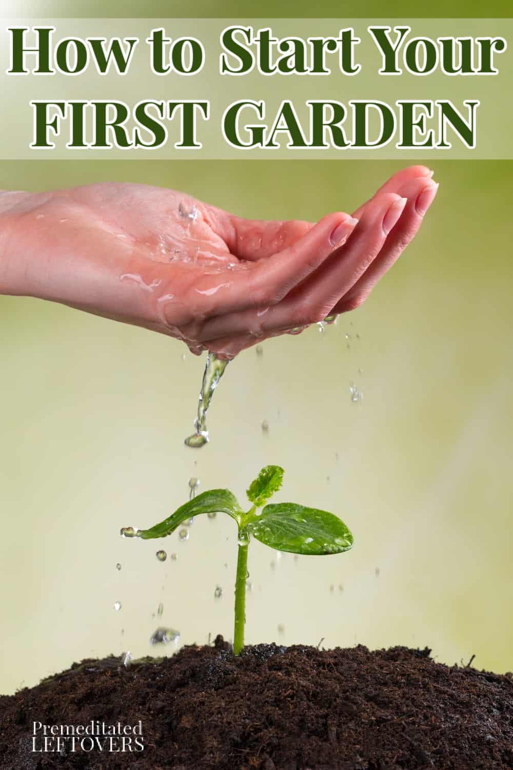 a hand sprinling water on a seedling in a new garden