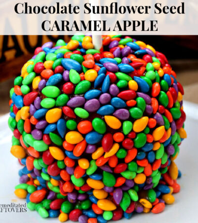Chocolate Sunflower Seed Covered Caramel Apples