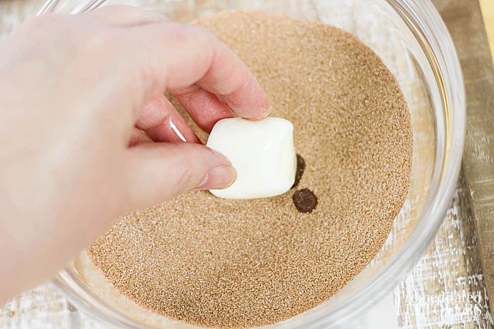 After coating the marshmallow with butter, roll it in the cinnamon sugar.