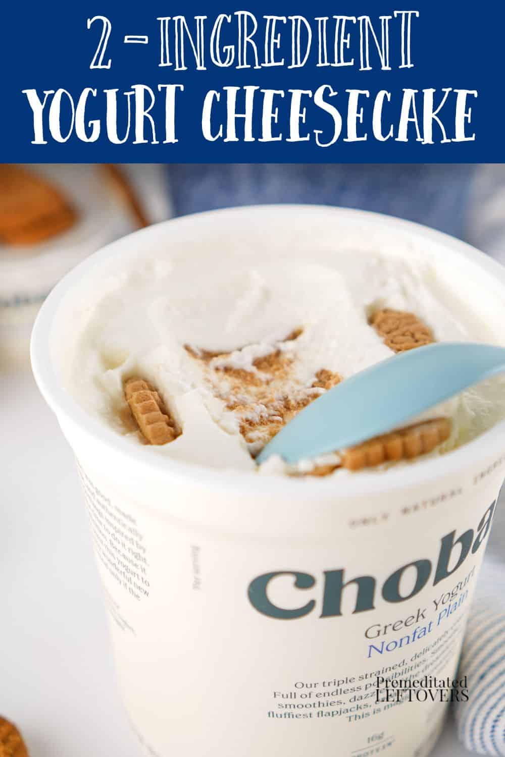 Large tub of Japanese yogurt chesecake with biscoff